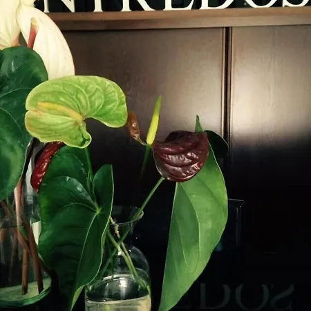 Entredos 3* Guijuelo